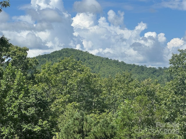 999 Ivy Ln, Pisgah Forest, NC 28768 - photo 1