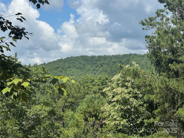 999 Ivy Ln, Pisgah Forest, NC 28768 - photo 2