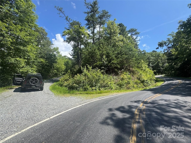 999 Ivy Ln, Pisgah Forest, NC 28768 - photo 3