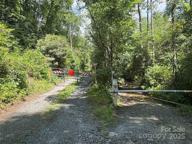 999 Ivy Ln, Pisgah Forest, NC 28768 - photo 4