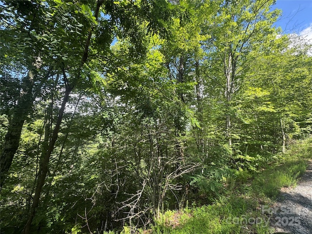 999 Ivy Ln, Pisgah Forest, NC 28768 - photo 11