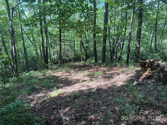 999 Ivy Ln, Pisgah Forest, NC 28768 - photo 12