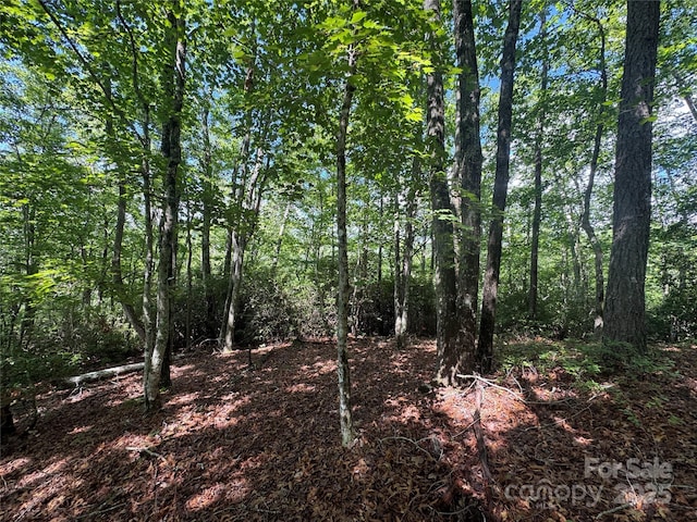 999 Ivy Ln, Pisgah Forest, NC 28768 - photo 13