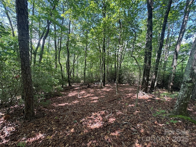 999 Ivy Ln, Pisgah Forest, NC 28768 - photo 14