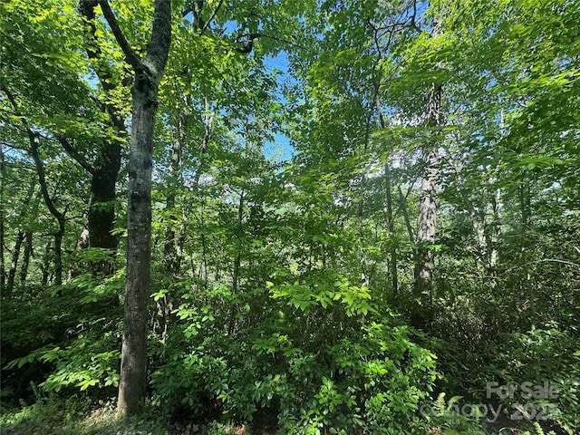 999 Ivy Ln, Pisgah Forest, NC 28768 - photo 15