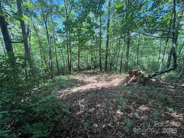 999 Ivy Ln, Pisgah Forest, NC 28768 - photo 17
