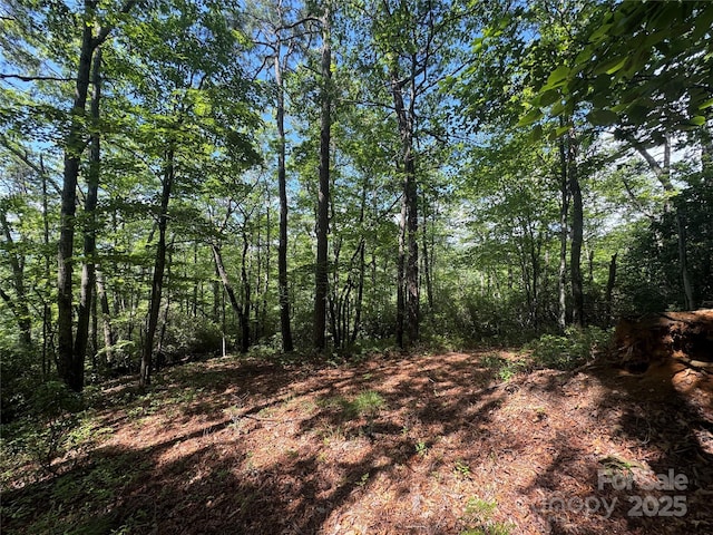 999 Ivy Ln, Pisgah Forest, NC 28768 - photo 18