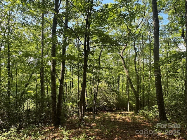 999 Ivy Ln, Pisgah Forest, NC 28768 - photo 19