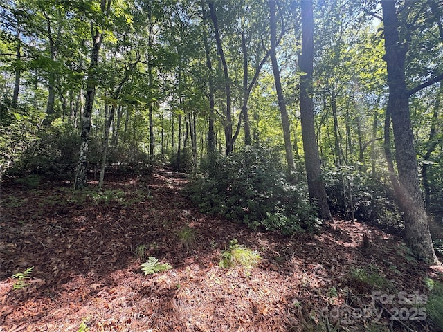 999 Ivy Ln, Pisgah Forest, NC 28768 - photo 20