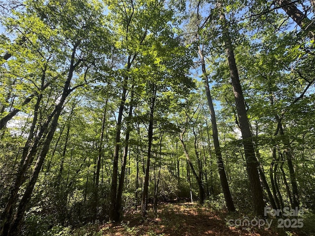999 Ivy Ln, Pisgah Forest, NC 28768 - photo 21