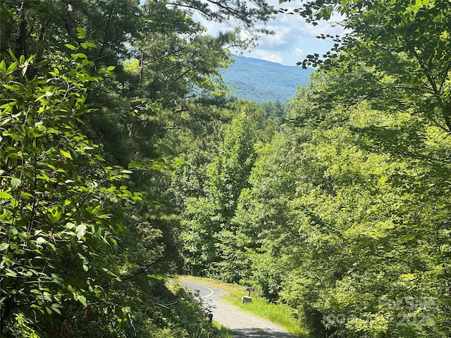 999 Ivy Ln, Pisgah Forest, NC 28768 - photo 23