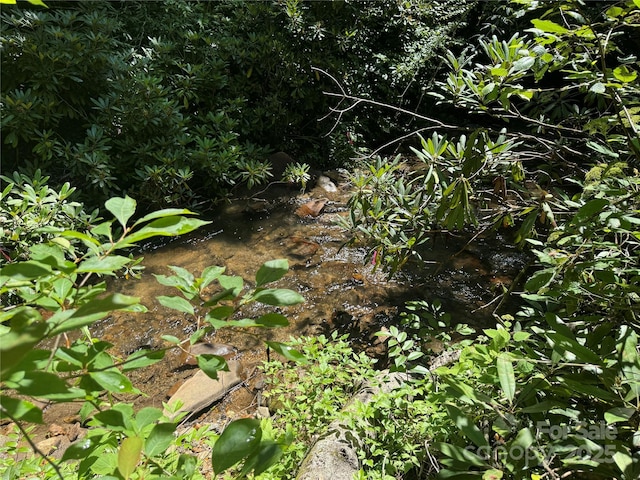 999 Ivy Ln, Pisgah Forest, NC 28768 - photo 24