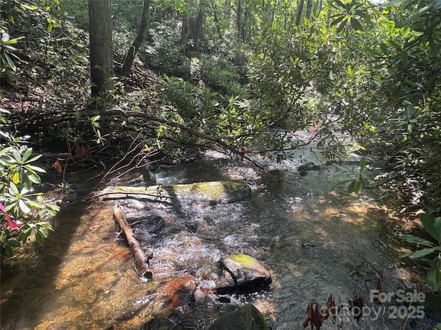 999 Ivy Ln, Pisgah Forest, NC 28768 - photo 25