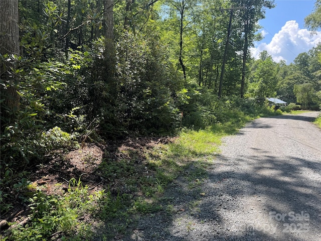 999 Ivy Ln, Pisgah Forest, NC 28768 - photo 26