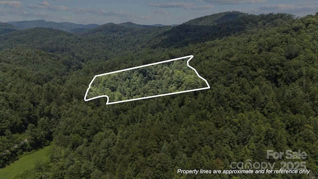 1296 Sheets Gap Rd, Millers Creek, NC 28651 - photo 2