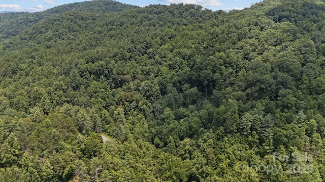 1296 Sheets Gap Rd, Millers Creek, NC 28651 - photo 3
