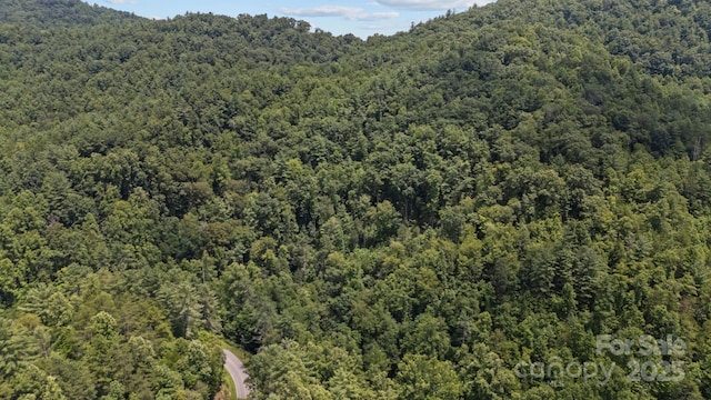 1296 Sheets Gap Rd, Millers Creek, NC 28651 - photo 4