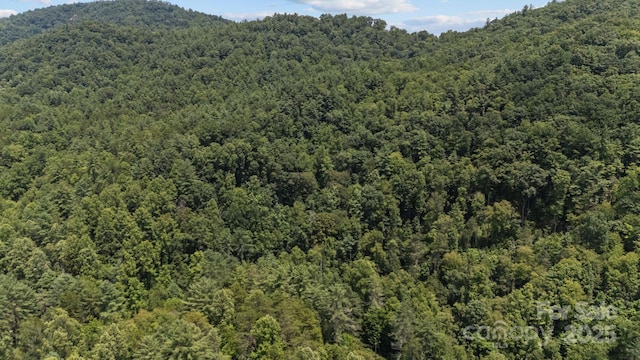 1296 Sheets Gap Rd, Millers Creek, NC 28651 - photo 5