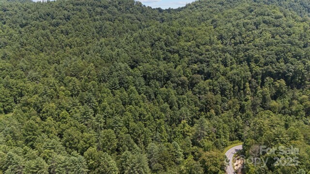 1296 Sheets Gap Rd, Millers Creek, NC 28651 - photo 6