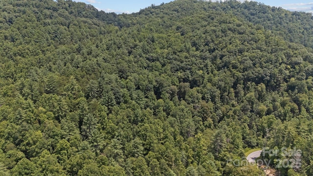 1296 Sheets Gap Rd, Millers Creek, NC 28651 - photo 7