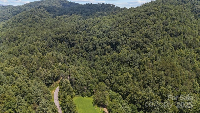 1296 Sheets Gap Rd, Millers Creek, NC 28651 - photo 8