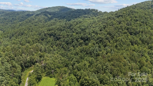 1296 Sheets Gap Rd, Millers Creek, NC 28651 - photo 9