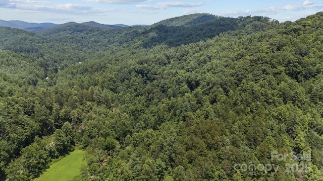 1296 Sheets Gap Rd, Millers Creek, NC 28651 - photo 10