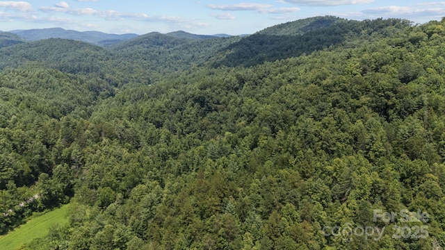 1296 Sheets Gap Rd, Millers Creek, NC 28651 - photo 11