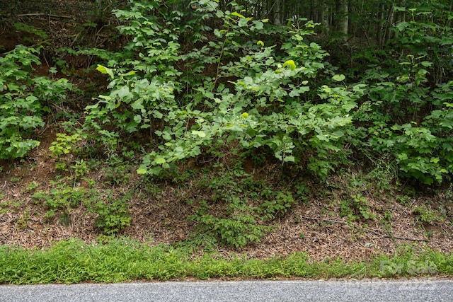 1296 Sheets Gap Rd, Millers Creek, NC 28651 - photo 13