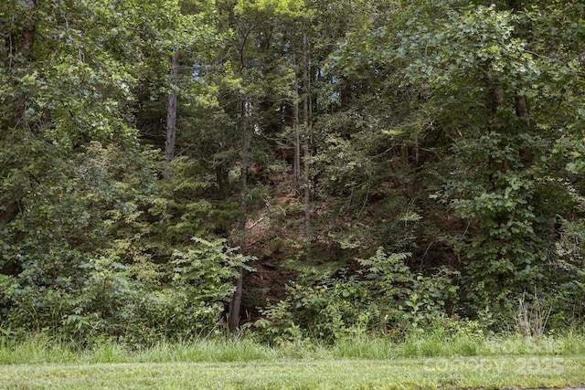 1296 Sheets Gap Rd, Millers Creek, NC 28651 - photo 14