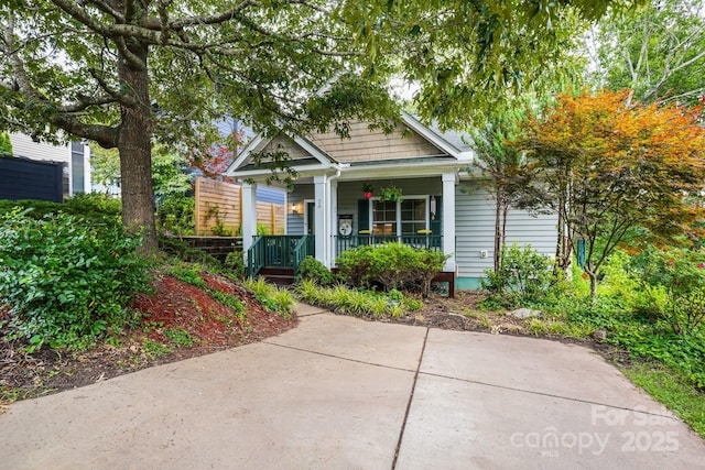 28 Richie St, Asheville, NC 28801 - photo 1