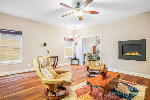 28 Richie St, Asheville, NC 28801 - photo 9