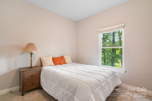 28 Richie St, Asheville, NC 28801 - photo 17
