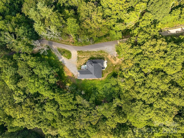 184 Sandys Home Pl, Mars Hill, NC 28754 - view of subject property