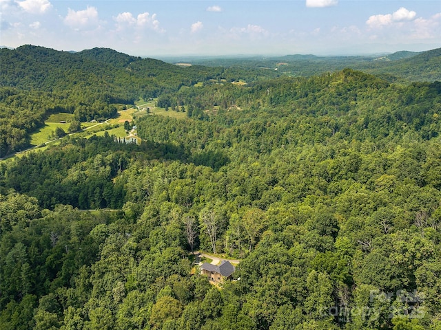 184 Sandys Home Pl, Mars Hill, NC 28754 - bird's eye view of a mountain backdrop