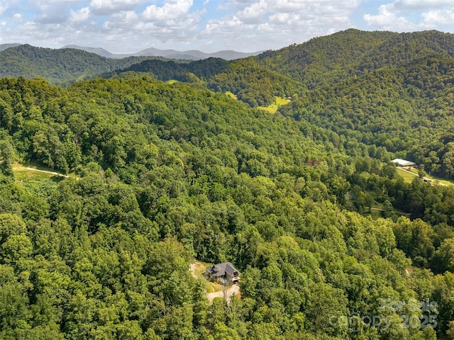 184 Sandys Home Pl, Mars Hill, NC 28754 - mountain view with a forest