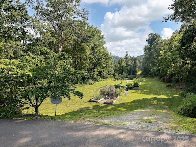 184 Sandys Home Pl, Mars Hill, NC 28754 - view of green lawn with a vegetable garden