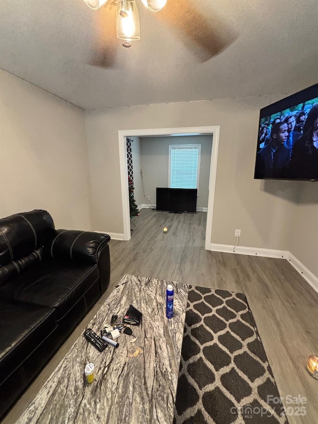 408 E 22nd St, Kannapolis, NC 28083 - living area featuring wood finished floors and a textured ceiling