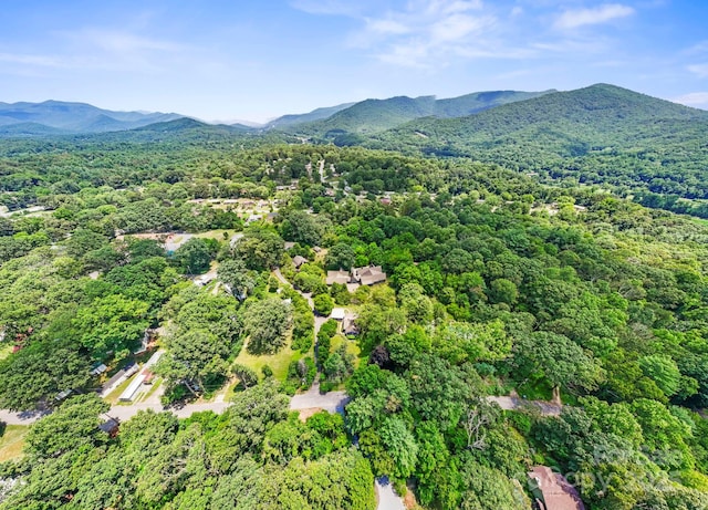 68/72/82/84 Oteen Church Rd, Asheville, NC 28805 - photo 37