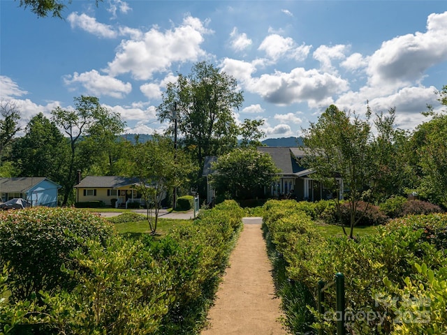 46 Cumberland Cir, Asheville, NC 28801 - photo 3