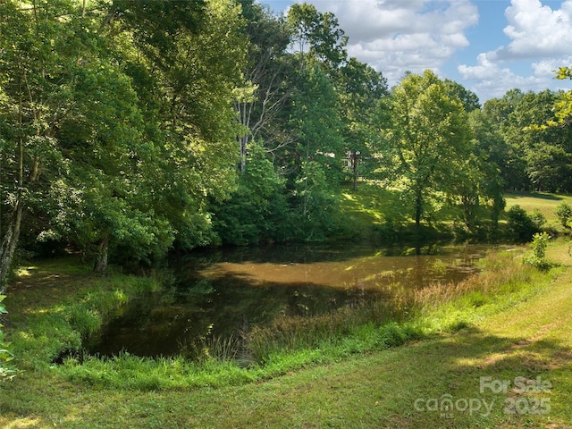 599 Red Fox Ln, Flat Rock, NC 28731 - view of nature