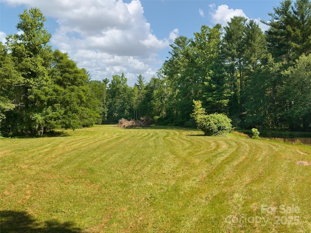 599 Red Fox Ln, Flat Rock, NC 28731 - view of green lawn featuring a forest view and a water view