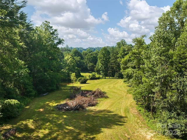 599 Red Fox Ln, Flat Rock, NC 28731 - view of grassy yard featuring a view of trees