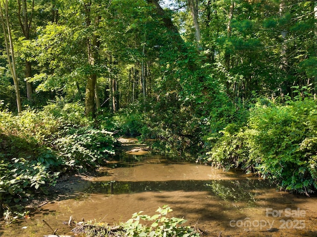 599 Red Fox Ln, Flat Rock, NC 28731 - view of woods