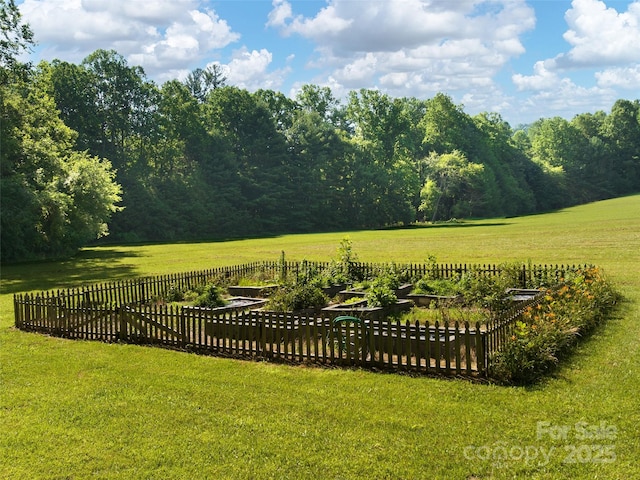 599 Red Fox Ln, Flat Rock, NC 28731 - view of yard