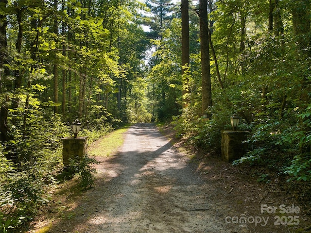 599 Red Fox Ln, Flat Rock, NC 28731 - view of dirt / gravel road featuring a forest view