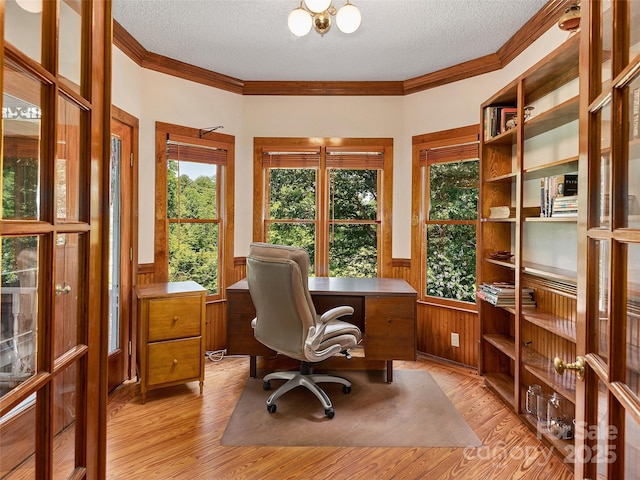 599 Red Fox Ln, Flat Rock, NC 28731 - office area with a wainscoted wall, a textured ceiling, light wood-type flooring, and ornamental molding