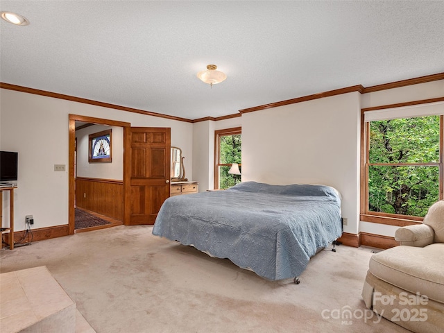 599 Red Fox Ln, Flat Rock, NC 28731 - carpeted bedroom with wood walls, ornamental molding, a textured ceiling, and a wainscoted wall