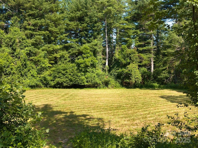 599 Red Fox Ln, Flat Rock, NC 28731 - view of grassy yard with a view of trees