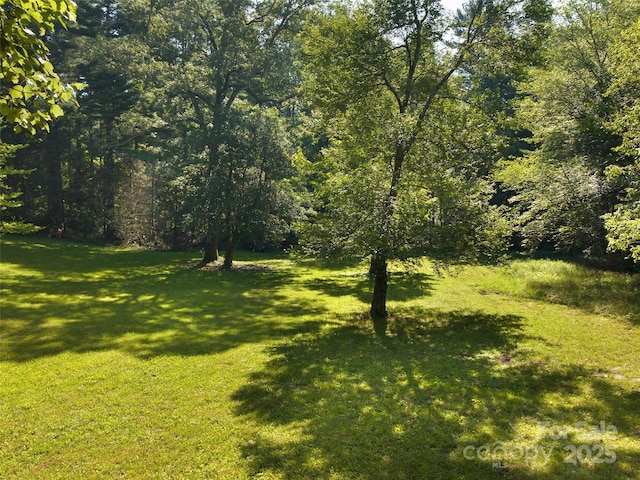 599 Red Fox Ln, Flat Rock, NC 28731 - view of grassy yard with a wooded view